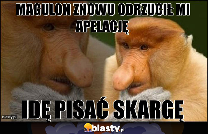 Magulon znowu odrzucił mi apelację