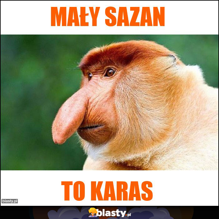 Mały sazan