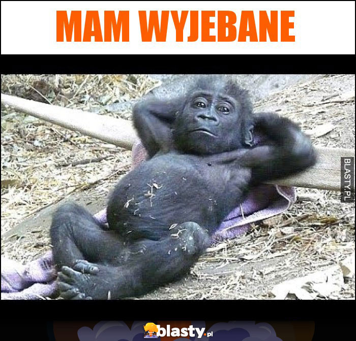 Mam wyjebane