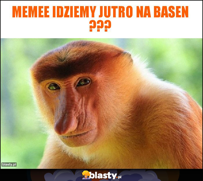 Memee idziemy jutro na basen ???