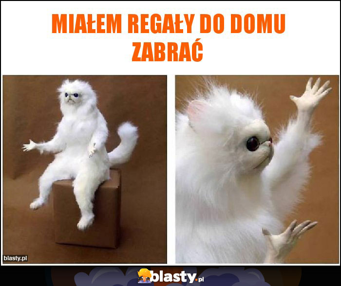 Miałem regały do domu zabrać