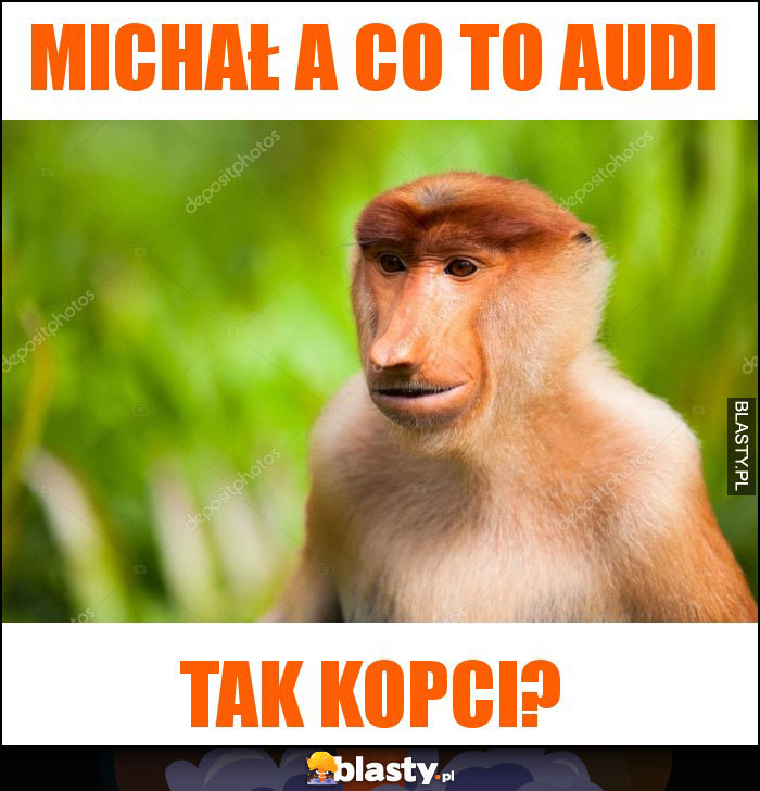 Michał a co to audi