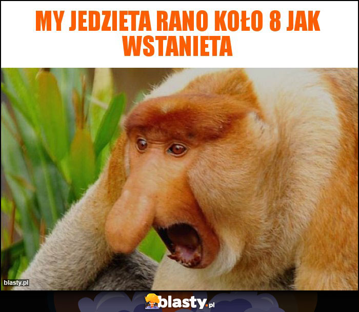 my jedzieta rano koło 8 jak wstanieta