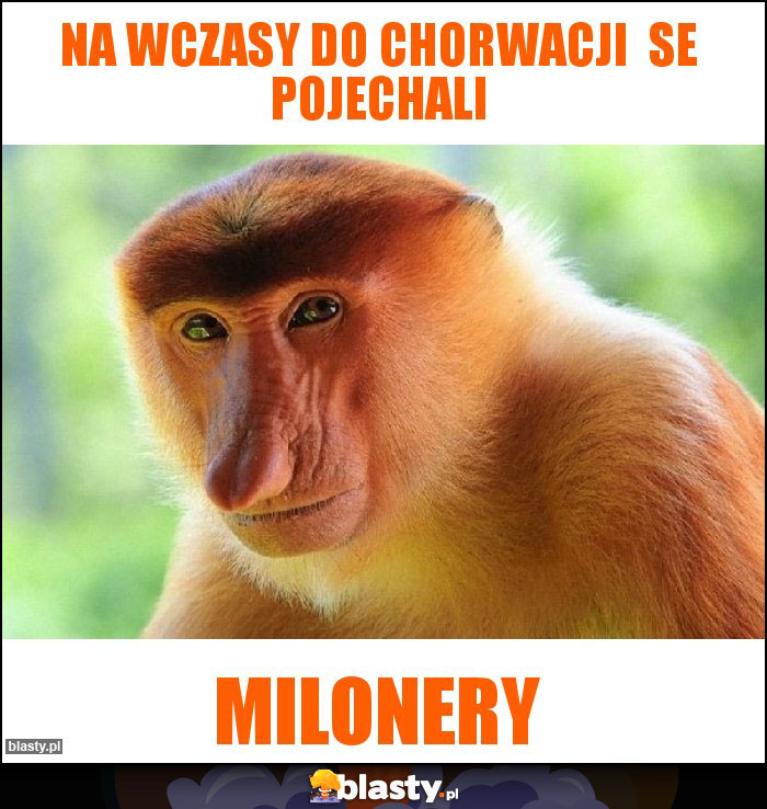 Na wczasy do chorwacji  se pojechali