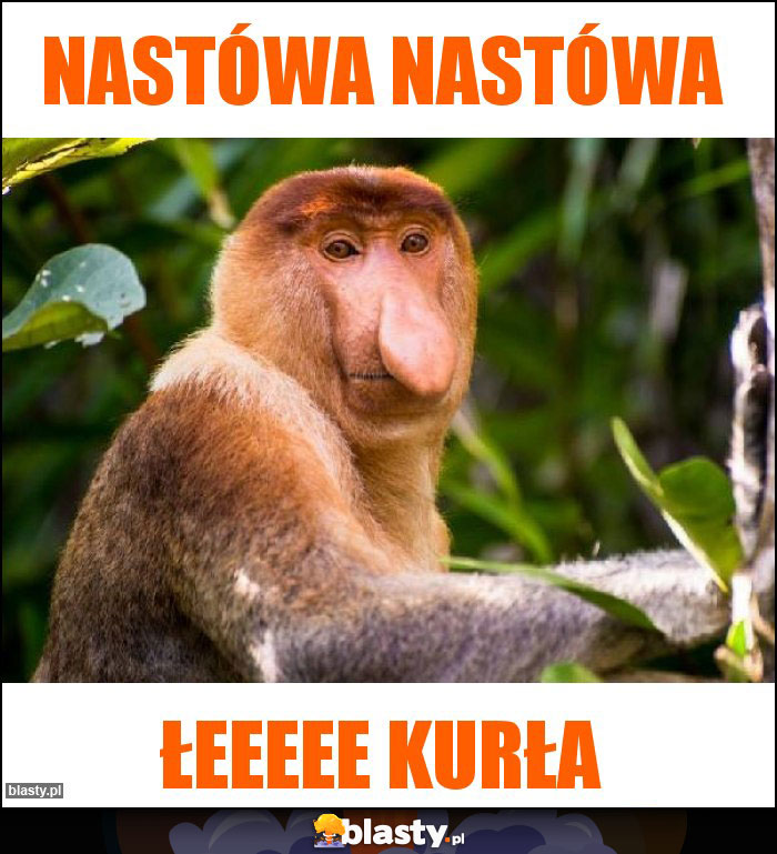 Nastówa nastówa