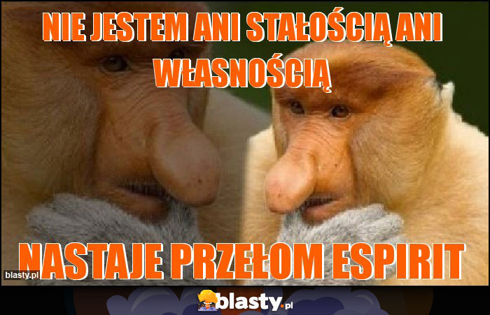 nie jestem ani stałością ani własnością