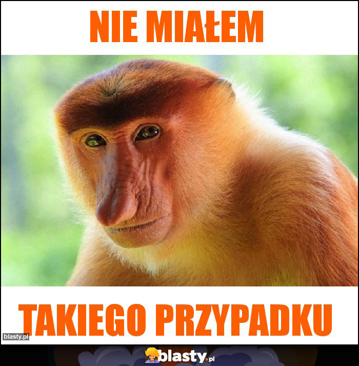 NIE MIAŁEM