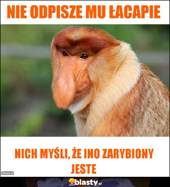 Nie odpisze mu łacapie