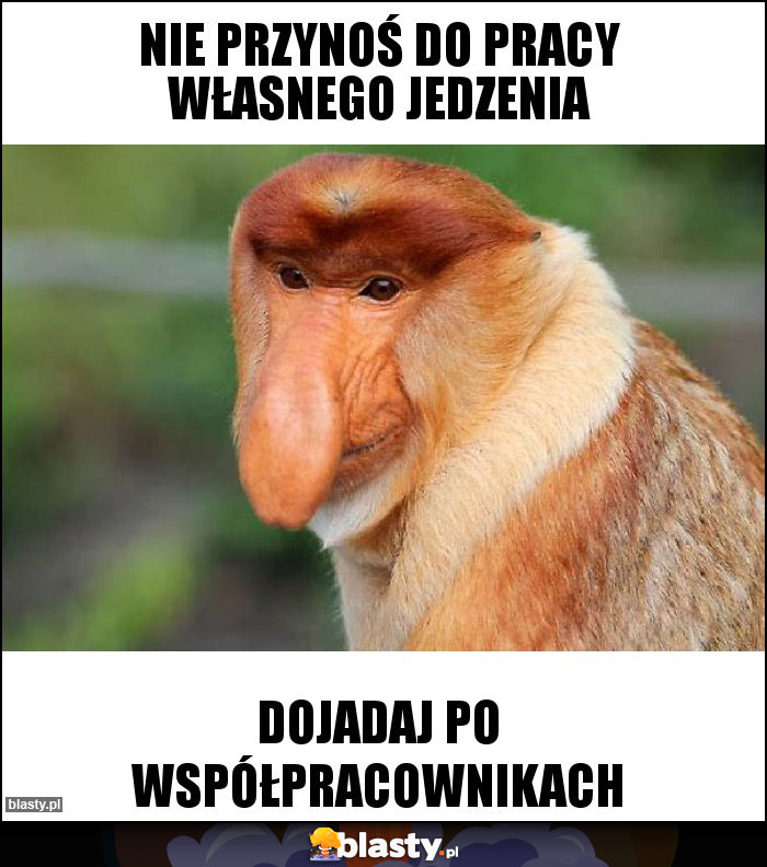 Nie przynoś do pracy własnego jedzenia