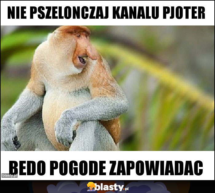 Nie pszelonczaj kanalu pjoter