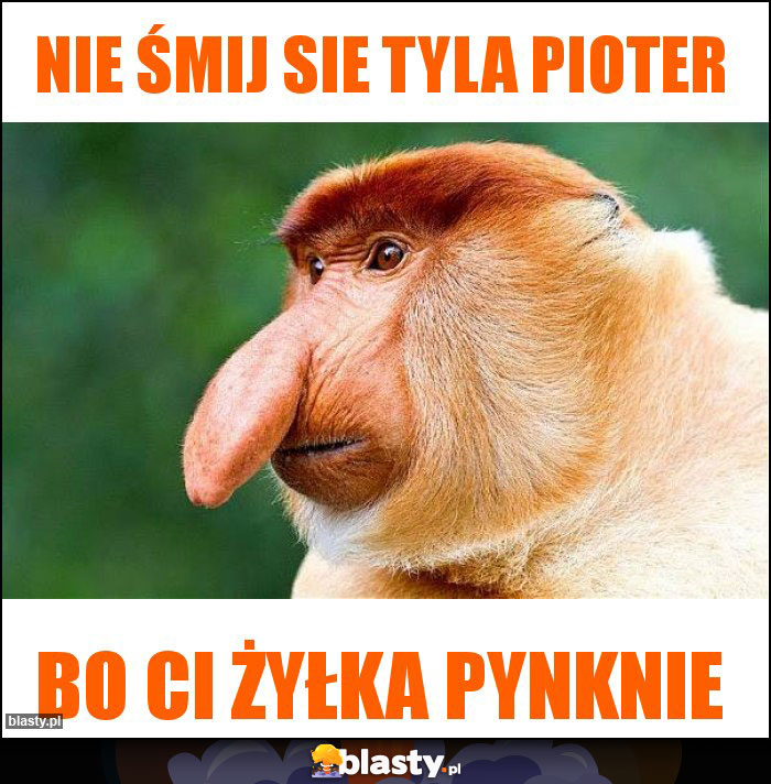 Nie śmij sie tyla Pioter