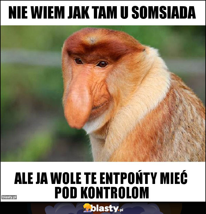 NIE WIEM JAK TAM U SOMSIADA