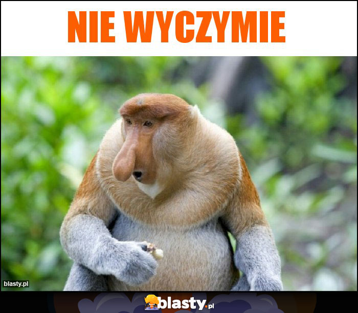 NIE WYCZYMIE