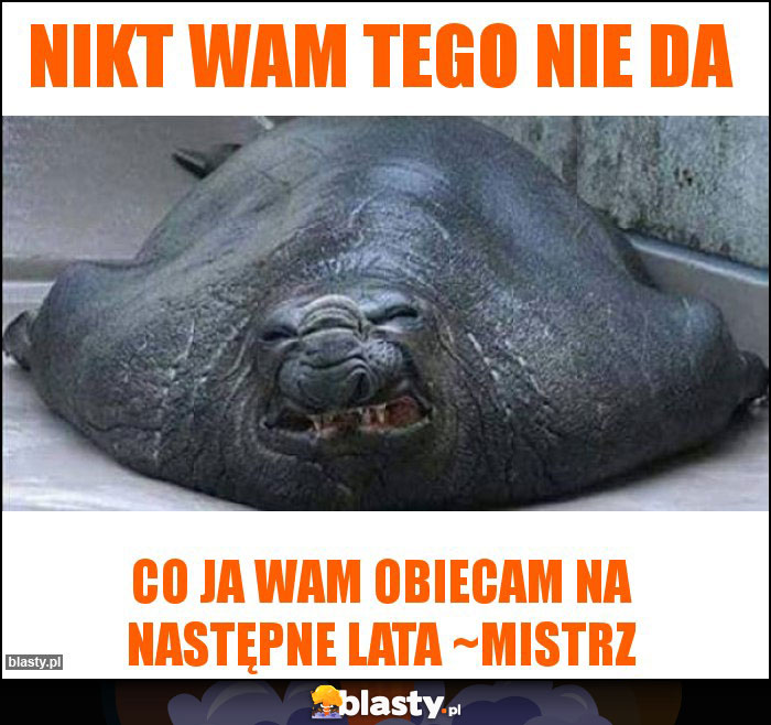 Nikt Wam tego nie da