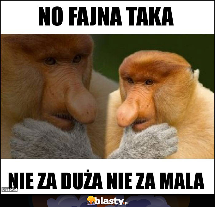 No fajna taka