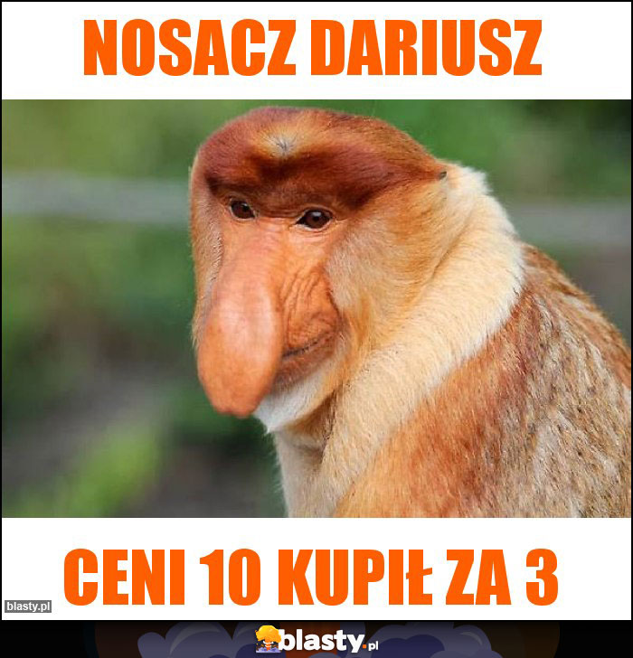 Nosacz Dariusz