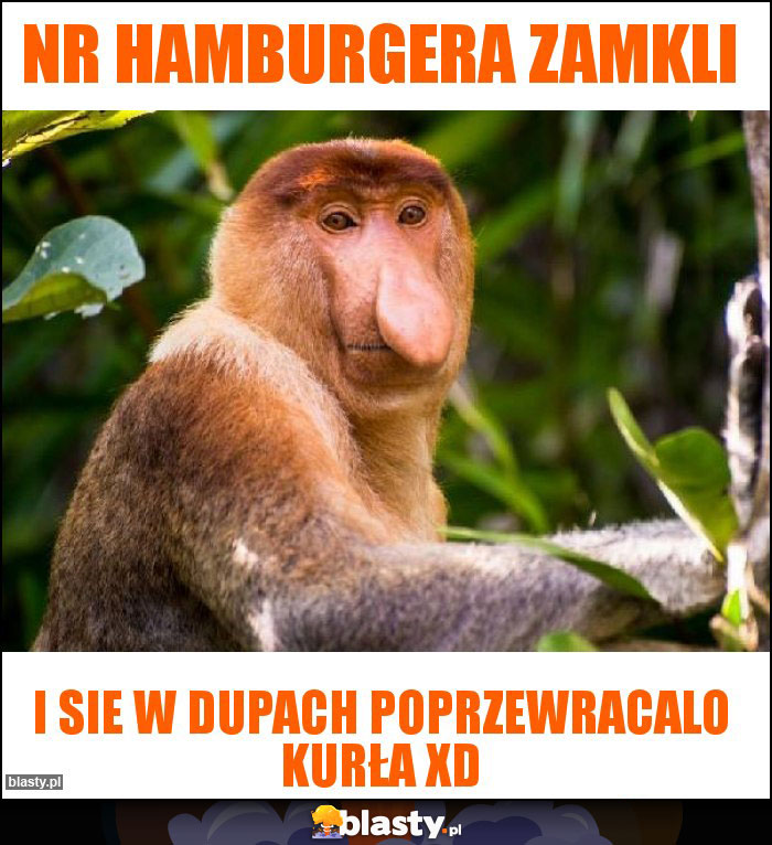 Nr hamburgera zamkli