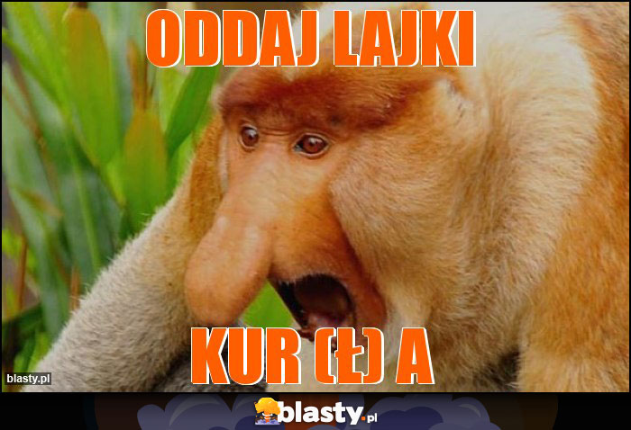 Oddaj lajki