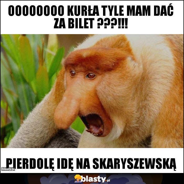 oooooooo kurła tyle mam dać za bilet ???!!!