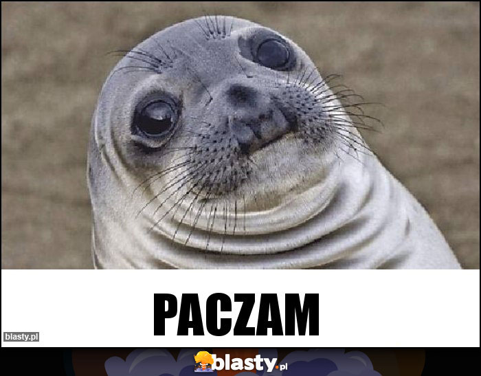 PACZAM