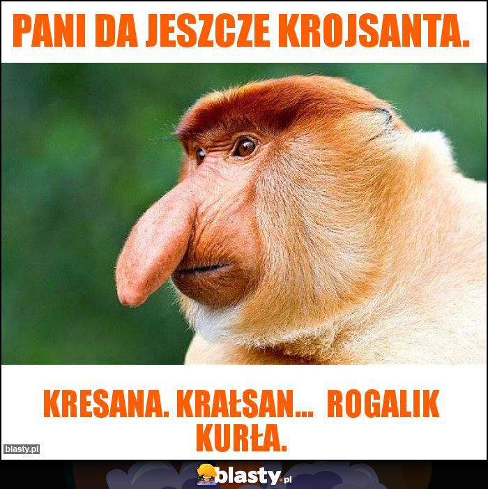 Pani da jeszcze krojsanta.