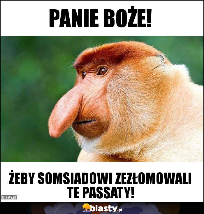 PANIE BOŻE!