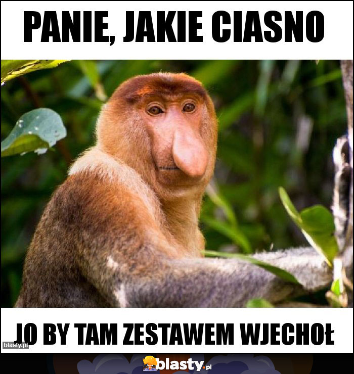 Panie, jakie ciasno