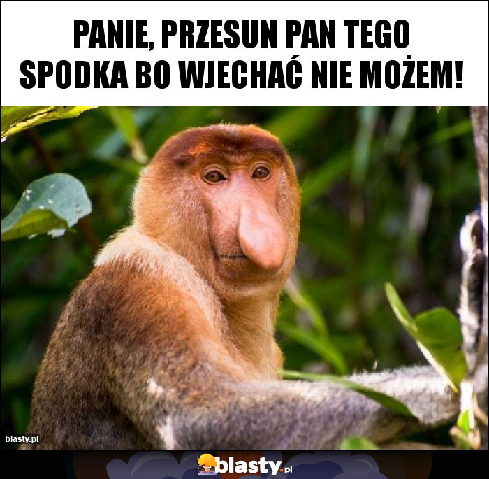 Panie, przesun Pan tego spodka bo wjechać nie możem!