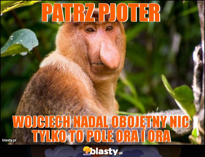 PATRZ PJOTER