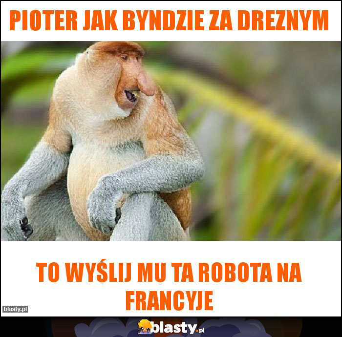 Pioter jak byndzie za dreznym