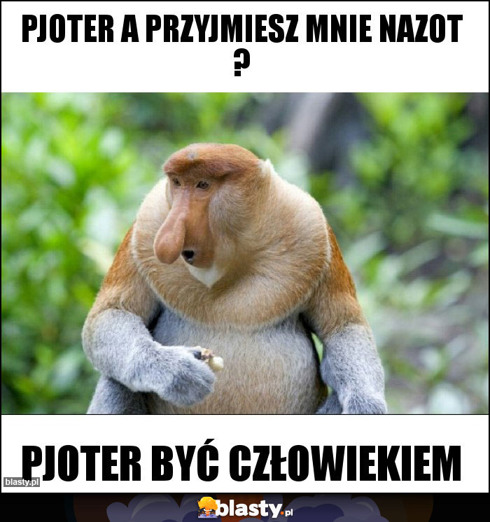 Pjoter a przyjmiesz mnie nazot ?