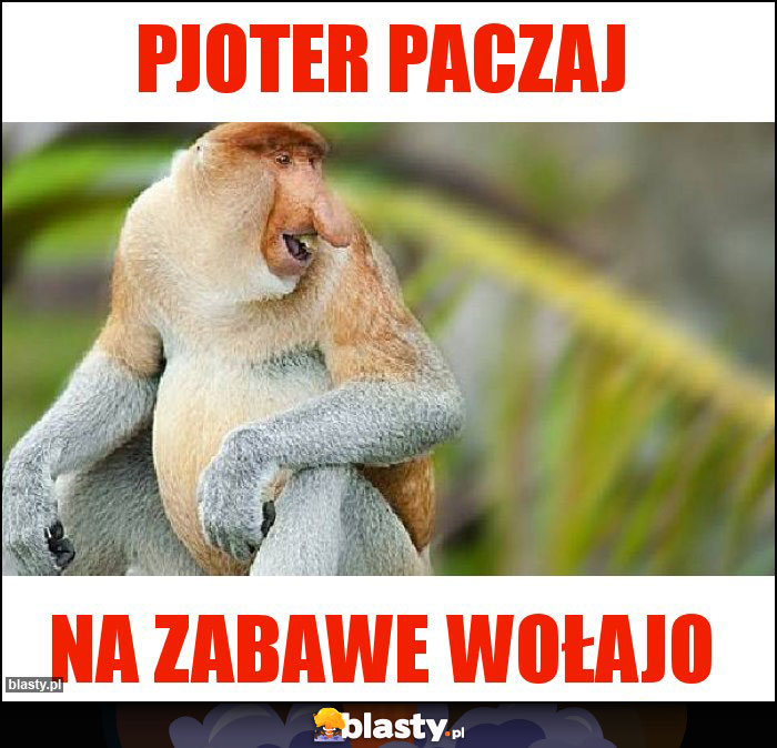 Pjoter paczaj