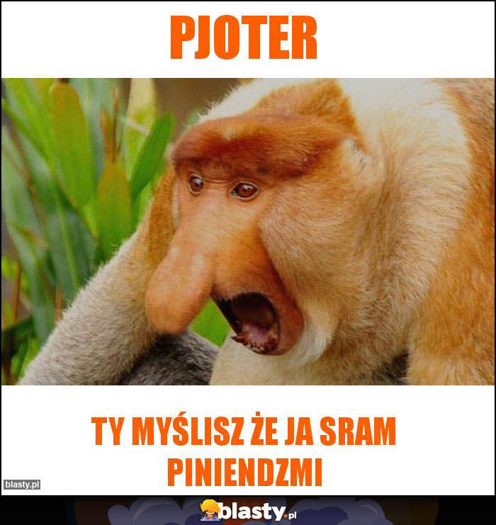 PJOTER