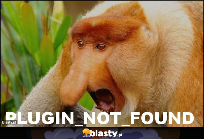 PLUGIN_NOT_FOUND