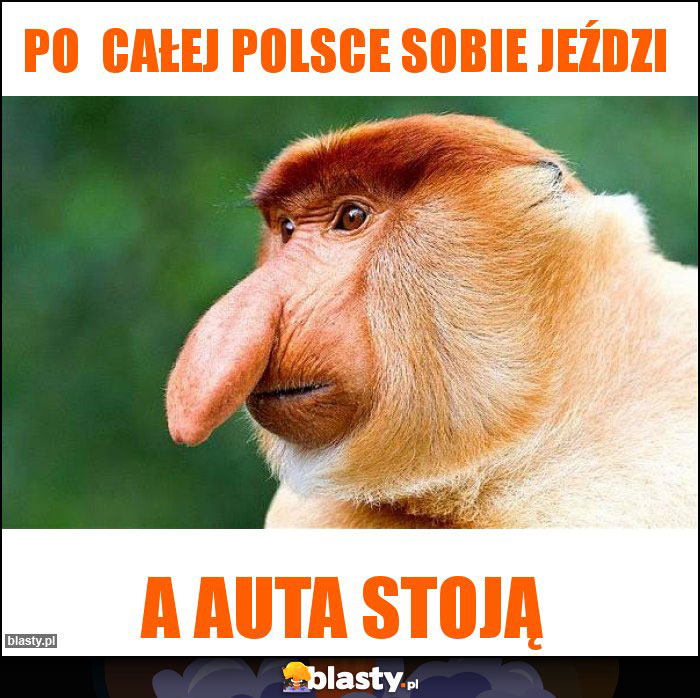 Po  całej Polsce sobie jeździ