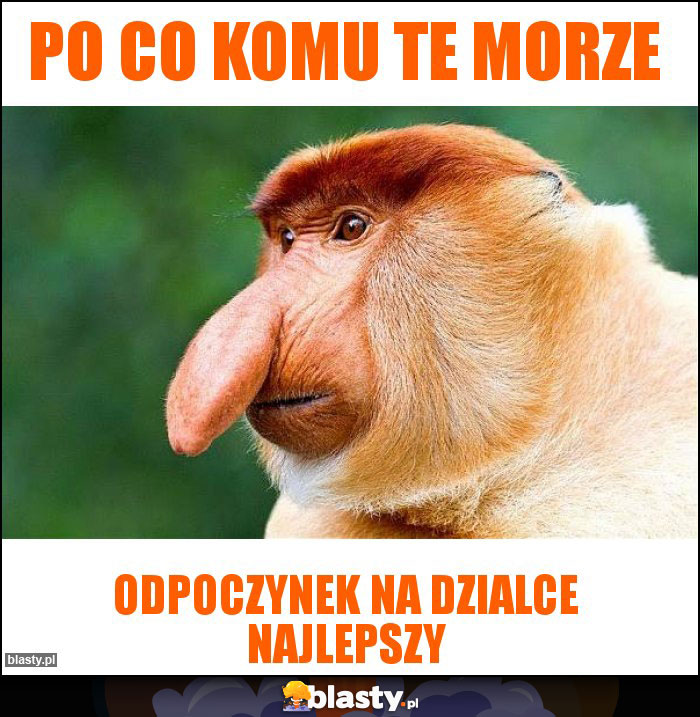 PO CO KOMU TE MORZE