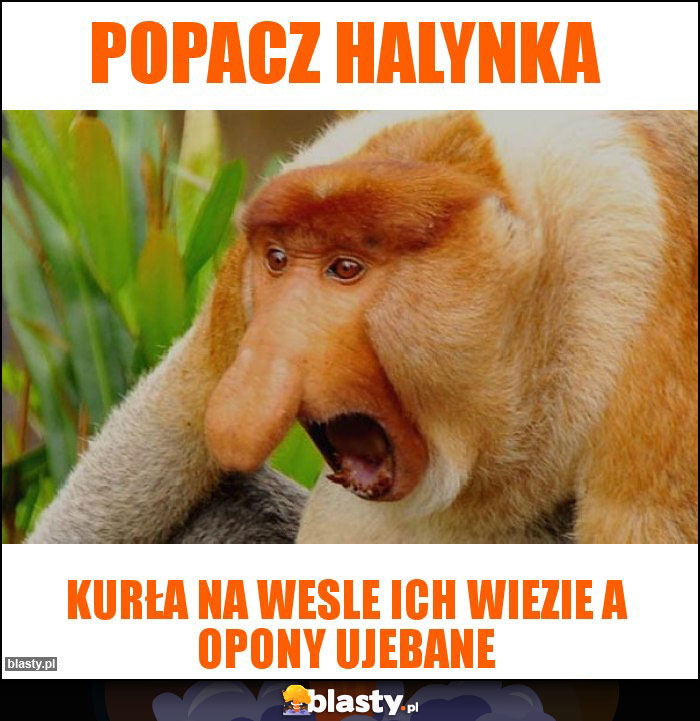 Popacz Halynka