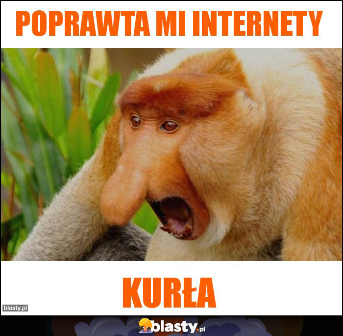 Poprawta mi internety