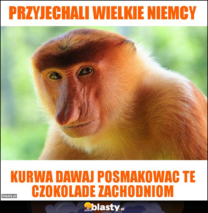 Przyjechali wielkie niemcy