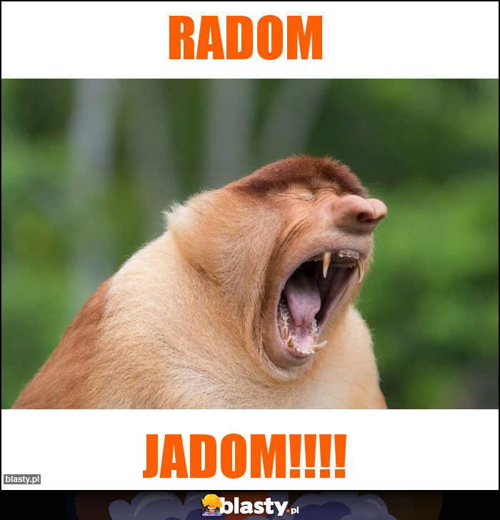 Radom