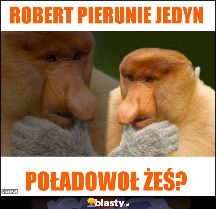 Robert pierunie jedyn