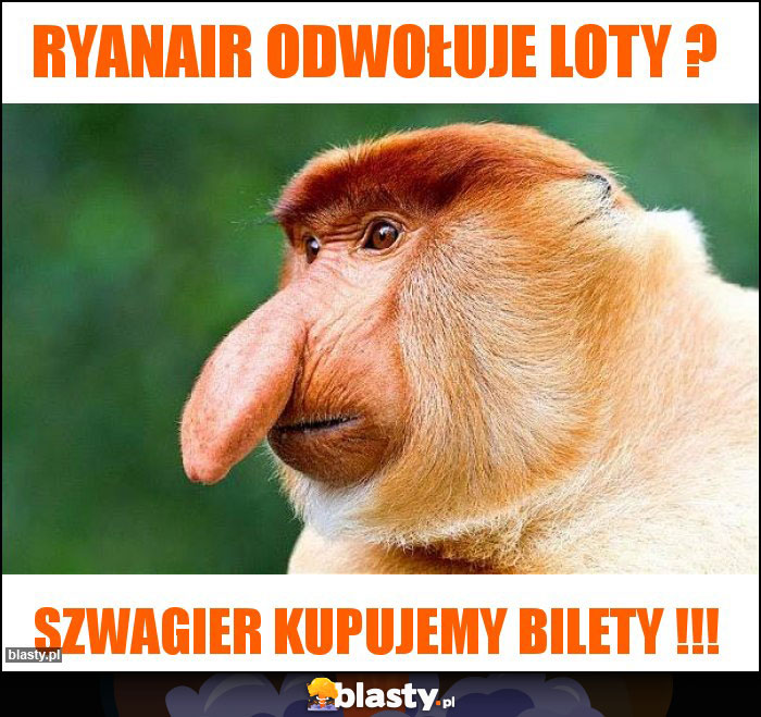 RYANAIR ODWOŁUJE LOTY ?