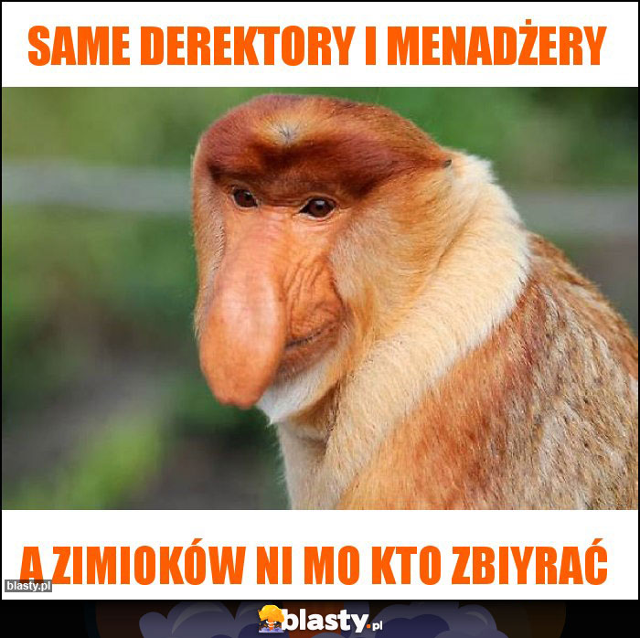 Same derektory i menadżery