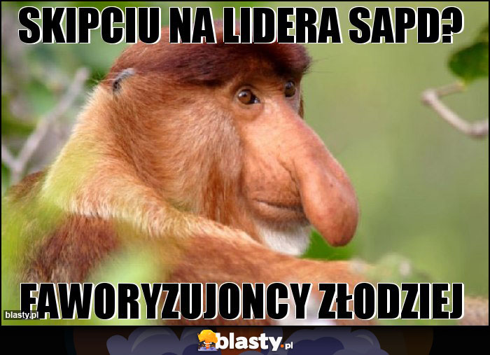 Skipciu na lidera sapd?