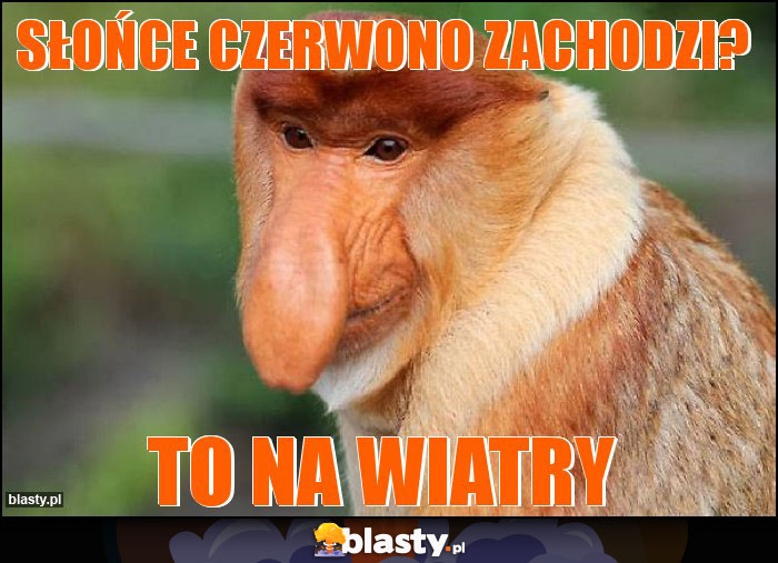 Słońce czerwono zachodzi?