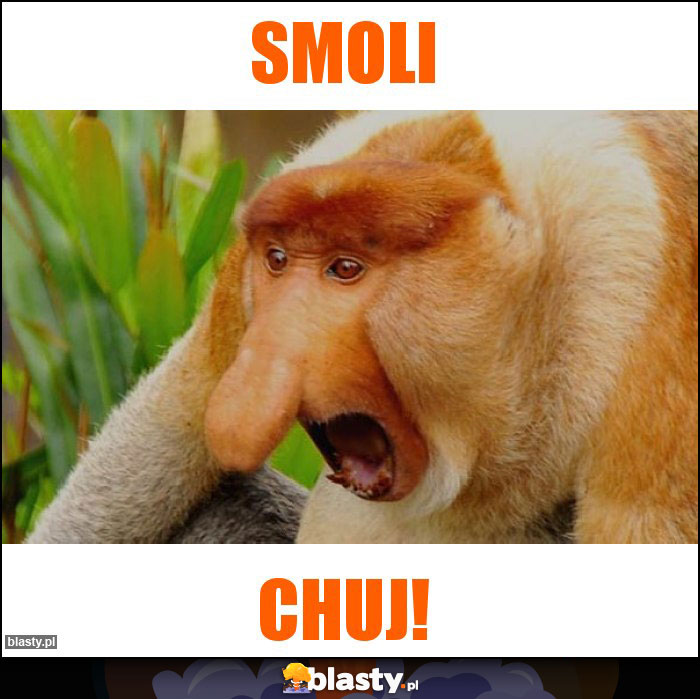 Smoli