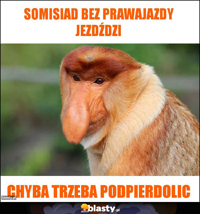 Somisiad bez prawajazdy jezdździ