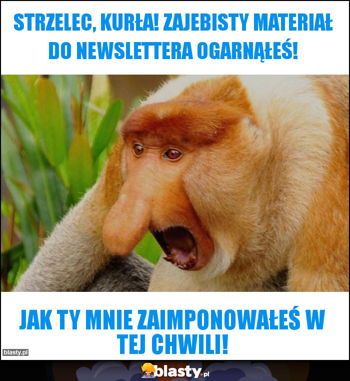 Strzelec, kurła! Zajebisty materiał do newslettera ogarnąłeś!