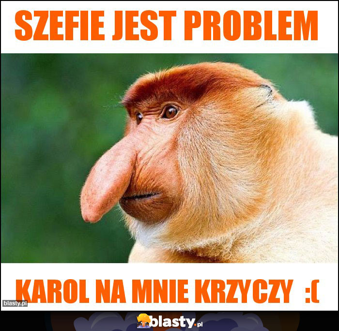 szefie jest problem