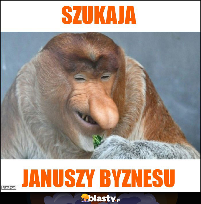 Szukaja